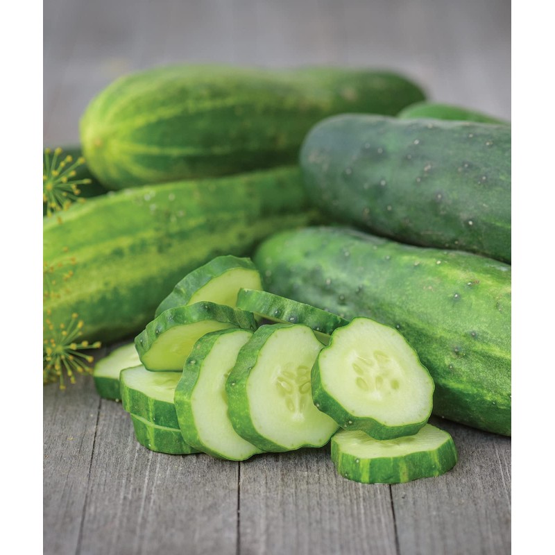 Burpee 'Straight Eight' Slicing Cucumber Seeds, 200 Non-GMO seeds, Heirloom