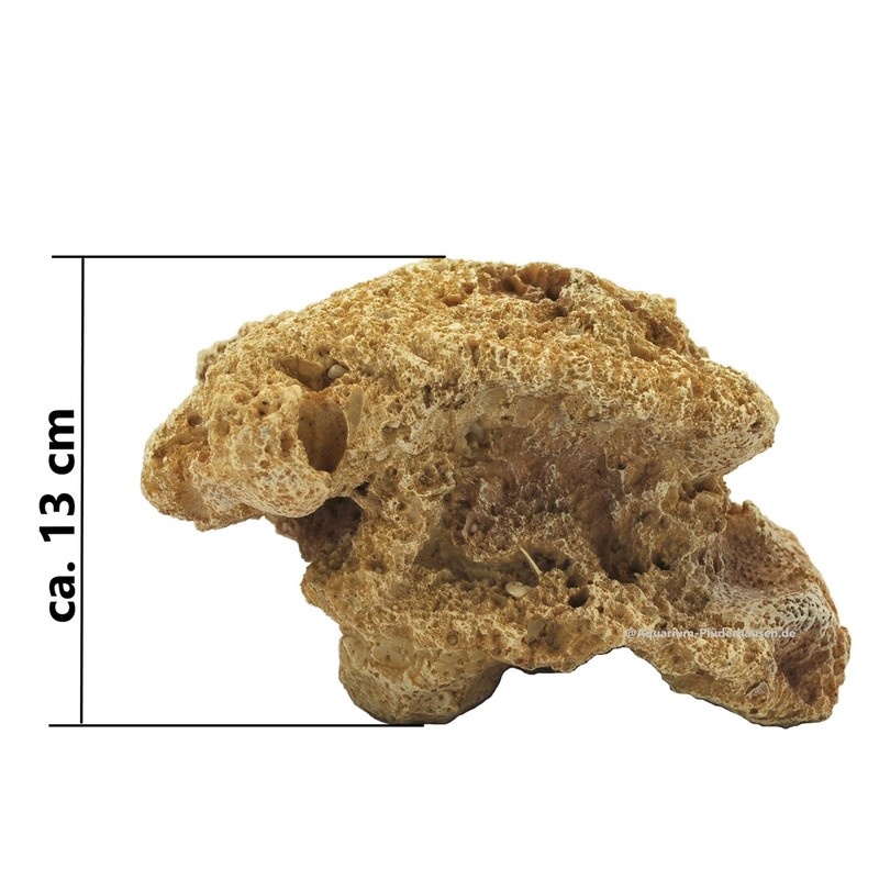 Reef Rock, 21 x 17 x 13 cm, Rock Stone