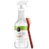 Easy Oxy Spray Cleaner 32 oz multi surface spray with