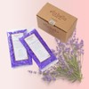 ELLA BELLA Wax Refill - Lavender