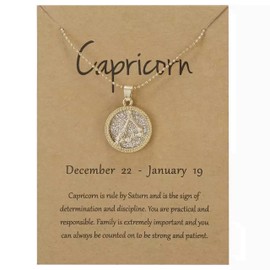 Gold Star Sign Coin Constellation Pendant Chain Necklace – Day – Capricorn (22nd December - 19th January) - Zodiac Constellation Horoscope Celestial Astrology Jewellery - Women Men Gift