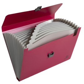 Exacompta Maïa 58410E Recycled Expanding Folders with Plastic Closure Clip for DIN A4 with Tabs and Organiser with 2 Zip Pockets and Pen Holder Conference Folder 1 Piece Random Colour