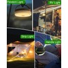 QSPORTPEAK Camping Fairy Lights Rollable with Remote Control, Solar &