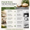 Ashlux Palm Tea Lights Candles 96 Pack, Non-Paraffin Unscented 4H