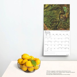 Manitoba | 2025 12 x 24 Inch Monthly Square Wall Calendar | Wyman Publishing | Canadian Regional Travel