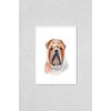 Poster Reproduction of Bulldog dog breed isolated on white background