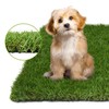 COOLCHOICE Artificial Grass Rug with Drainage Holes, 3x5 FT Dog