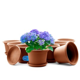 BigDean Pack of 8 Flower Pots with Saucers, Round, Diameter 30 cm, Terracotta, Weatherproof Planter, Made in Europe