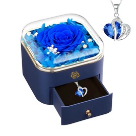 Leayiuvan Preserved Flower in A Box -Preserved Rose Last for Over 1 Year Gift for Wife Girlfriend Daughter Valentines Day Mothers Day Anniversary Day Birthday Christmas - Eternal Rose Gift (Blue)