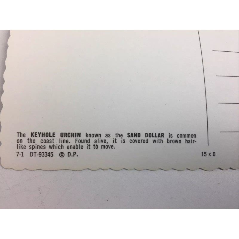 The Legend of the Sand Dollar, 1954 Dexter Press Wavy