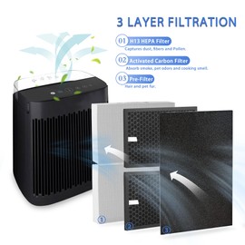 Breshair HPA5200B True HEPA Replacement Filter for Honeywell HPA 5200 5220 5250 3200 Air Purifiers, 2 R HEPA Filters, 2 S Carbon Filters and 4 A Pre-Filters, Part # HRF-R HRFSC1 HRF-ARVP200 HRF-A200