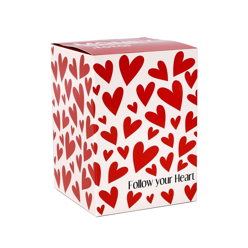 I-TOTAL® - Funny Money Box with Padlock and Keys, Metal