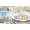 MyPlate Materials Portion Plate for Adults and Teens | Portion