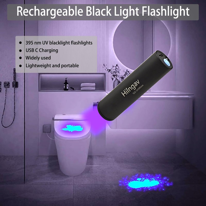 Hilngav 10 Pack Rechargeable Black Flashlight Small UV Black Flash