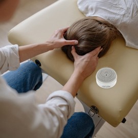 FOMIYES Hair Detangler Brush Scalp Massage Comb Hair Comb for Women Hairbrushes for Woman Miss Dedicated White