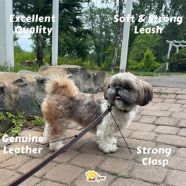 ADITYNA - Premium Leather Dog Leash - 6 ft, Heavy-Duty, Soft & Strong for Small/Medium Dogs - Perfect for Walking, Training, Hiking, and Running (Small: 6 ft x 1/2", Brown)