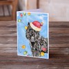 Caroline's Treasures CK2470GCA7P Christmas Lights Bouvier des Flandres Greeting Cards