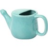 Ancient Impex Ceramic Neti Pot, Spill Proof with 5 Sachets