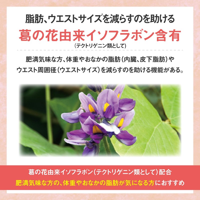 Fat Care Tablets (Grain Type), 42 Tablets (14 Day Supply)