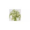 Donna Karan New Donna Karan 3-Pc. Cashmere Mist Fragrance Purse
