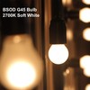 G45 LED Light Bulbs with E26 Base | 2700K Warm