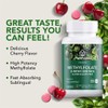 PlantFusion Vegan High Potency Methylfolate 5-MTHF – Fast Acting Sublingual