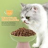 Ieblica Ceramic Elevated Cat Bowls Tilted Raised Cat Bowl Anti