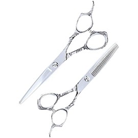 Hairdressing Scissors Set,Hair Scissors Professional,Hair Cutting Salon,Stainless Steel Hair Cutting Scissor Thinning Scissors 6.0 Inch Silver
