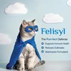 Felisyl L-Lysine Gel for Cats & Kittens (5oz) – Immune