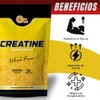 More Than Pure Creatina Monohidratada, 300g, 60 Servicios, Sabor Natural,