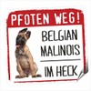 siviwonder Belgian Malinois Paws Way Small Car Sticker Dog Sticker