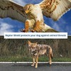 Raptor Shield Puncture Resistant Pet Vest for Small Dogs —