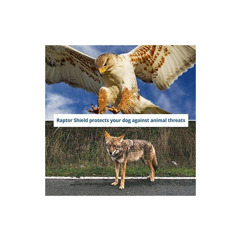 Raptor Shield Puncture Resistant Pet Vest for Small Dogs —