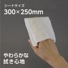 使い捨てタオル やわらかタイプ 30枚 30×25cm アクティ クリーンドライタオル