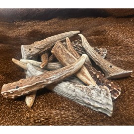 WhiteTail Naturals 5 PACK - Pre Drilled Gnarly Deer Antler Crafting Tips * A * GRADE  (Choose Size) - Med. - 2 to 3 inches