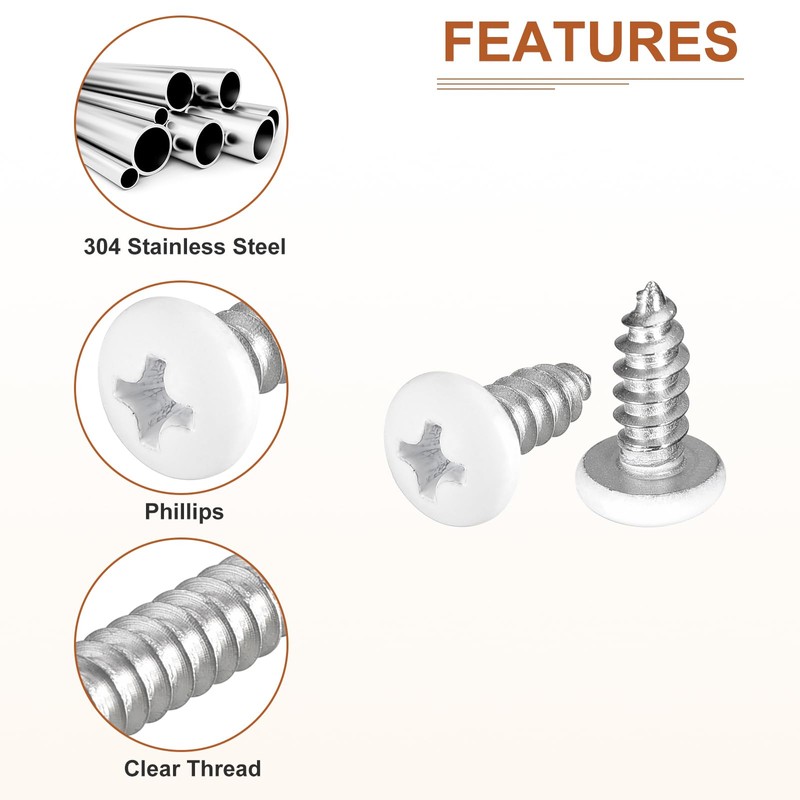 DTGN #10x1/2 White Silver Screws - 25Pack - 304 Stainless