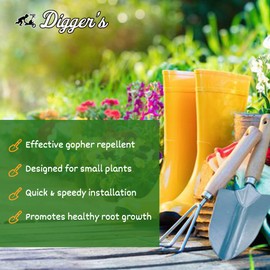 Digger’s 1-Gallon Heavy-Duty Wire Basket - Gopher Wire Basket for Perennials & Vegetables (12 Baskets)