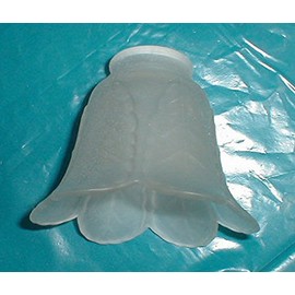 Graf von Gerlitzen Art Nouveau Lampshade 319