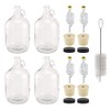 North Mountain Supply 1 Gallon Glass Fermenting Jug with Handle