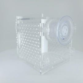Acrylic Anemone Box, Mushroom Box, Fish Nursery, Breeding, Hatchery or Isolation Box (Reef Safe) (Suction Cup, Clear)