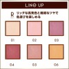 excel Eye Planner R02 Ceremony Eyeshadow Single Color Eyeshadow Tear