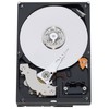 Western Digital 320 GB RE3 SATA 7200 RPM 16 MB