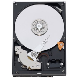 Western Digital 320 GB RE3 SATA 7200 RPM 16 MB Cache Bulk/OEM Enterprise Hard Drive WD3202ABYS