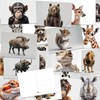 the lazy panda card company 64 Animal Postcards - Postcards