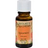 NATURE'S ALCHEMY ESSTL OIL,SPEARMINT, .5 FZ