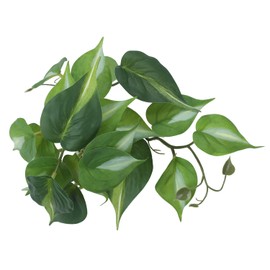 IBWell Fake Reptile Plants for Reptile Terrarium Plants, Reptile Plant Décor, Turtle Tank Plants with Suction Cup