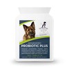 Advanced Probiotic Plus, 5 Powerful Strains of Bacteria in a