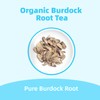 AeroMind CloudTrade Organic Burdock Slices Tea,Raw Agricultural Product,Caffeine Free, Resealable