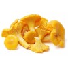 Chanterelle Mushroom Spores in Sawdust Bag Garden Grow Kit Makes
