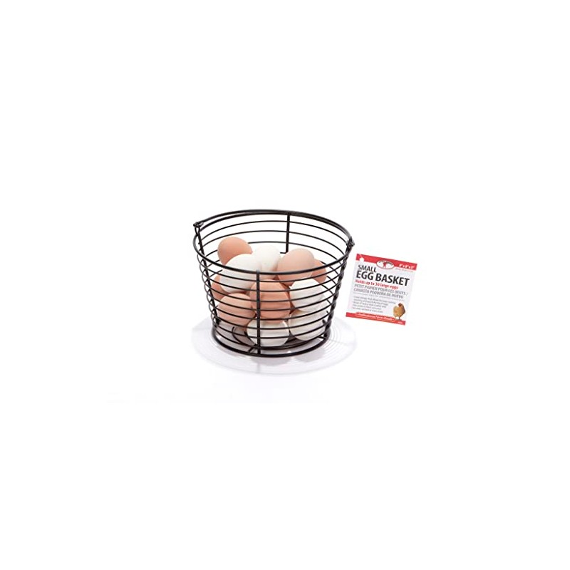 Little Giant® Small Egg Basket | Basket for Carrying and